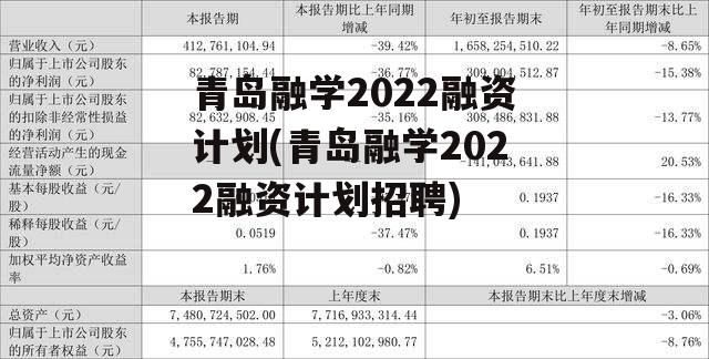 青岛融学2022融资计划(青岛融学2022融资计划招聘)