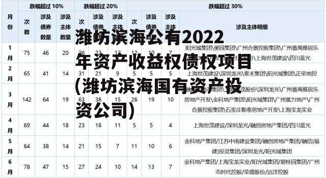 潍坊滨海公有2022年资产收益权债权项目(潍坊滨海国有资产投资公司)