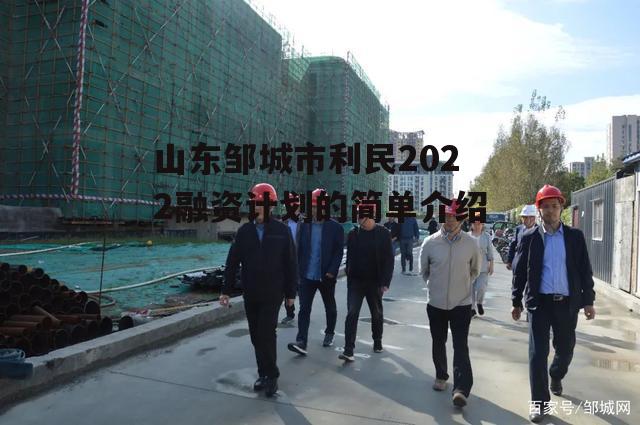 山东邹城市利民2022融资计划的简单介绍