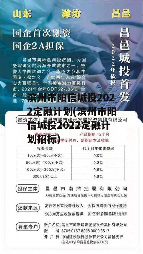 滨州市阳信城投2022定融计划(滨州市阳信城投2022定融计划招标)