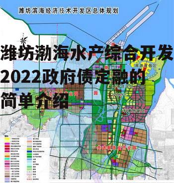 潍坊渤海水产综合开发2022政府债定融的简单介绍