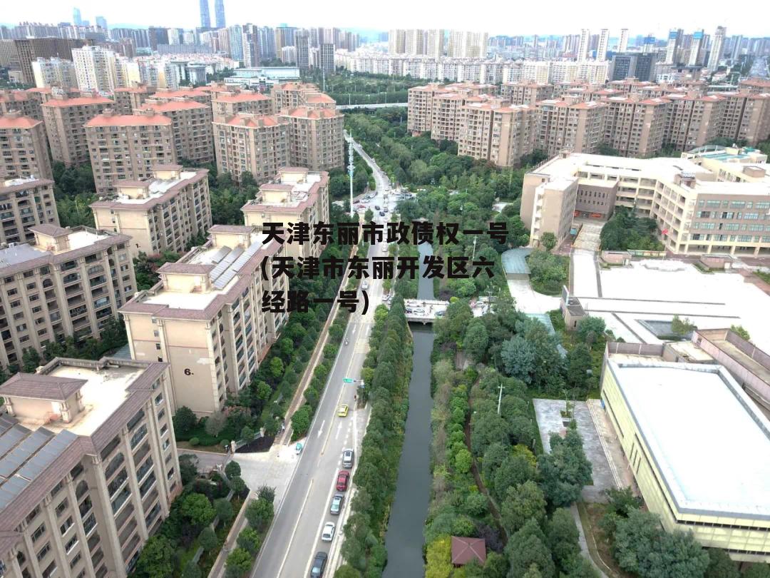 天津东丽市政债权一号(天津市东丽开发区六经路一号)