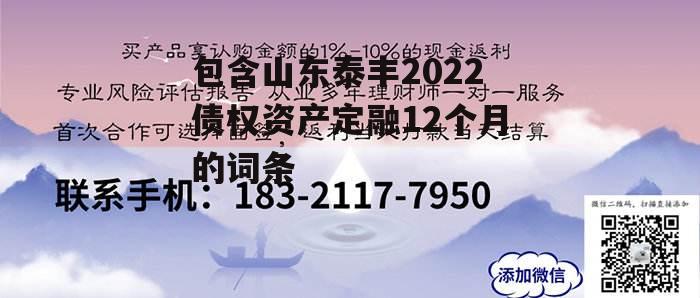 包含山东泰丰2022债权资产定融12个月的词条