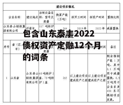 包含山东泰丰2022债权资产定融12个月的词条