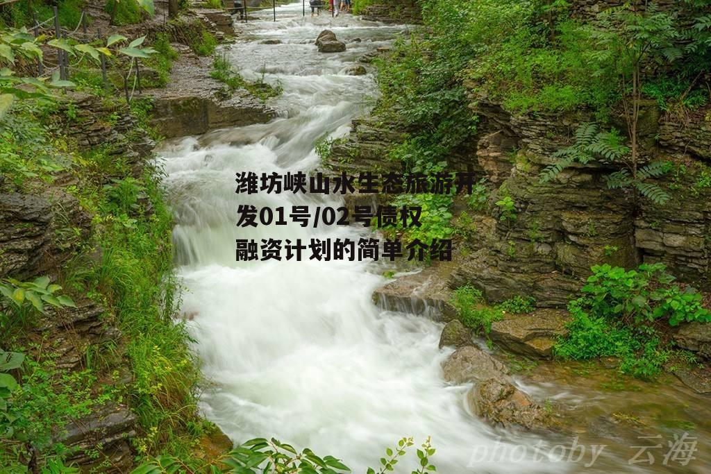 潍坊峡山水生态旅游开发01号/02号债权融资计划的简单介绍