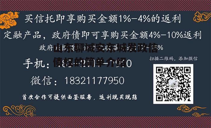 山东聊城安东城发政信债权的简单介绍