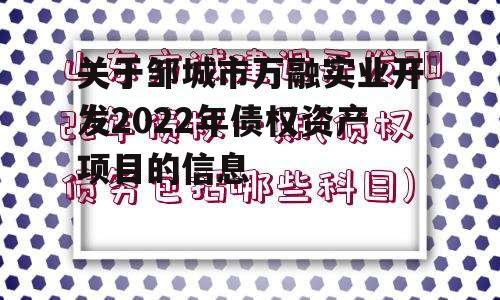 关于邹城市万融实业开发2022年债权资产项目的信息