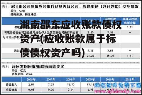 湖南邵东应收账款债权资产(应收账款属于标债债权资产吗)