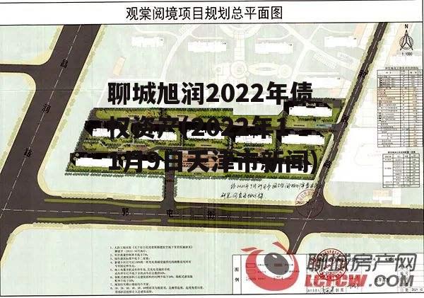 聊城旭润2022年债权资产(2022年11月9日天津市新闻)