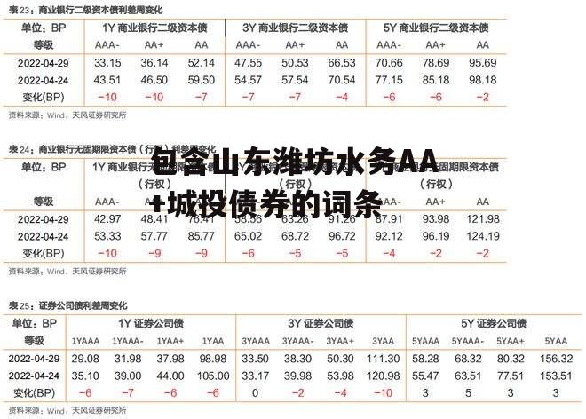 包含山东潍坊水务AA+城投债券的词条