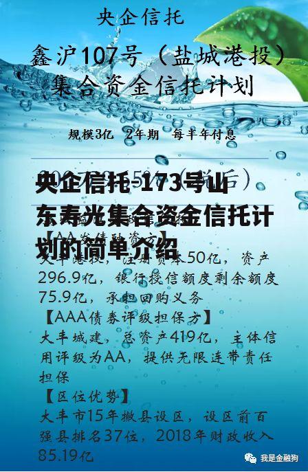 央企信托-173号山东寿光集合资金信托计划的简单介绍