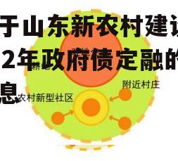 关于山东新农村建设2022年政府债定融的信息