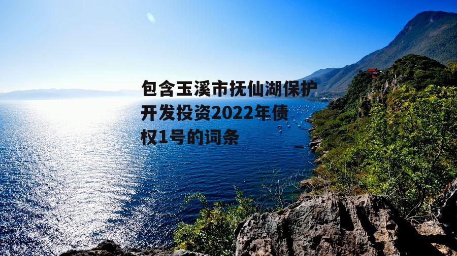 包含玉溪市抚仙湖保护开发投资2022年债权1号的词条