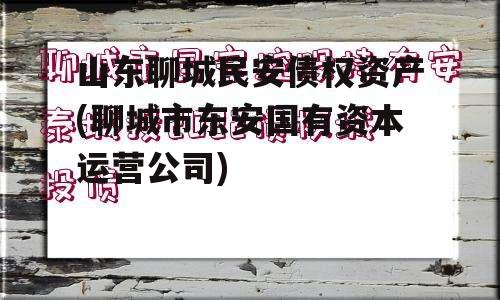 山东聊城民安债权资产(聊城市东安国有资本运营公司)