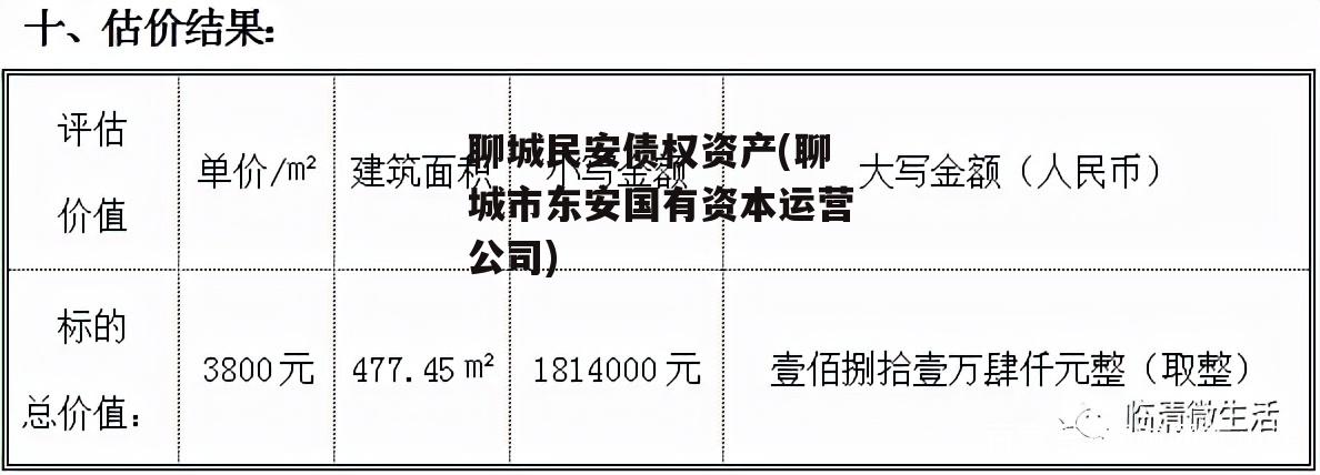 聊城民安债权资产(聊城市东安国有资本运营公司)