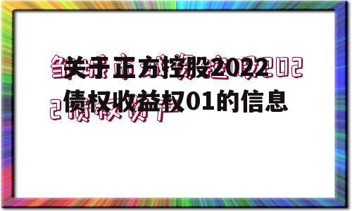 关于正方控股2022债权收益权01的信息