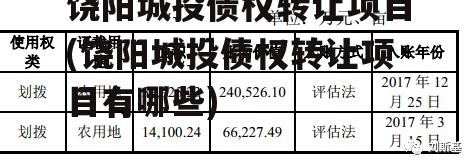 饶阳城投债权转让项目(饶阳城投债权转让项目有哪些)