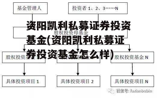 资阳凯利私募证券投资基金(资阳凯利私募证券投资基金怎么样)