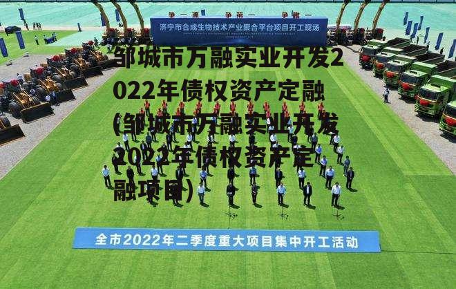 邹城市万融实业开发2022年债权资产定融(邹城市万融实业开发2022年债权资产定融项目)