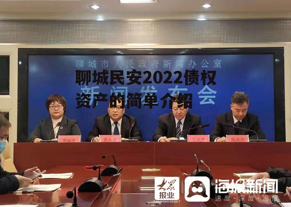 聊城民安2022债权资产的简单介绍