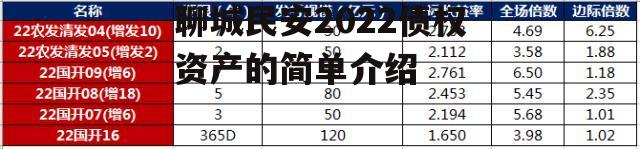 聊城民安2022债权资产的简单介绍