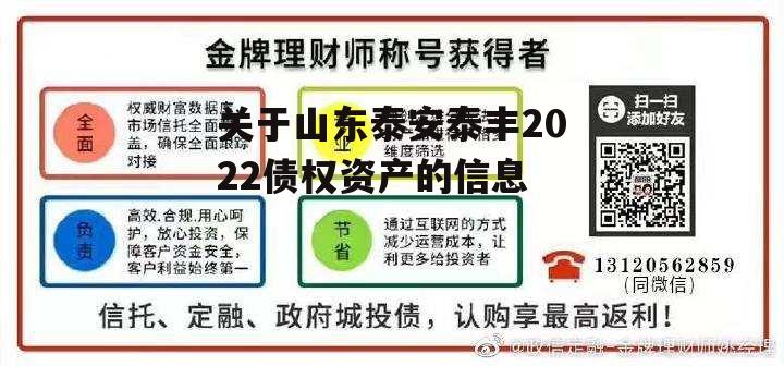 关于山东泰安泰丰2022债权资产的信息