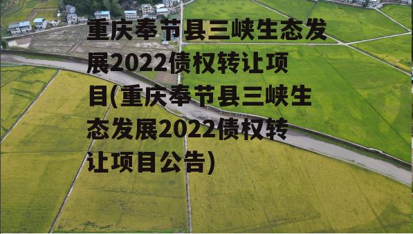 重庆奉节县三峡生态发展2022债权转让项目(重庆奉节县三峡生态发展2022债权转让项目公告)