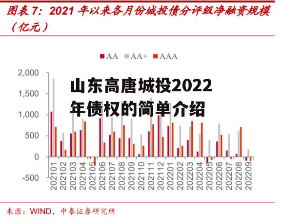 山东高唐城投2022年债权的简单介绍