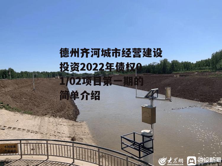 德州齐河城市经营建设投资2022年债权01/02项目第一期的简单介绍