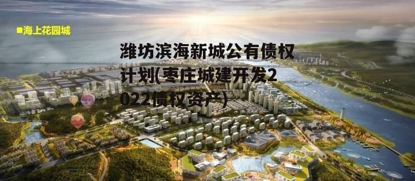 潍坊滨海新城公有债权计划(枣庄城建开发2022债权资产)