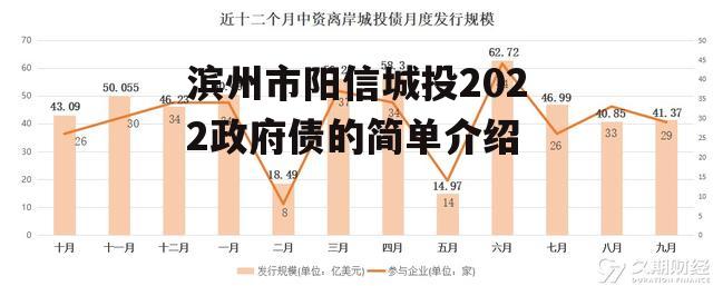 滨州市阳信城投2022政府债的简单介绍