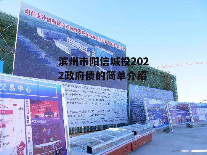 滨州市阳信城投2022政府债的简单介绍