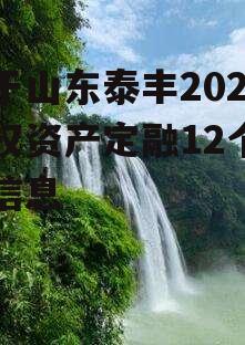 关于山东泰丰2022债权资产定融12个月的信息