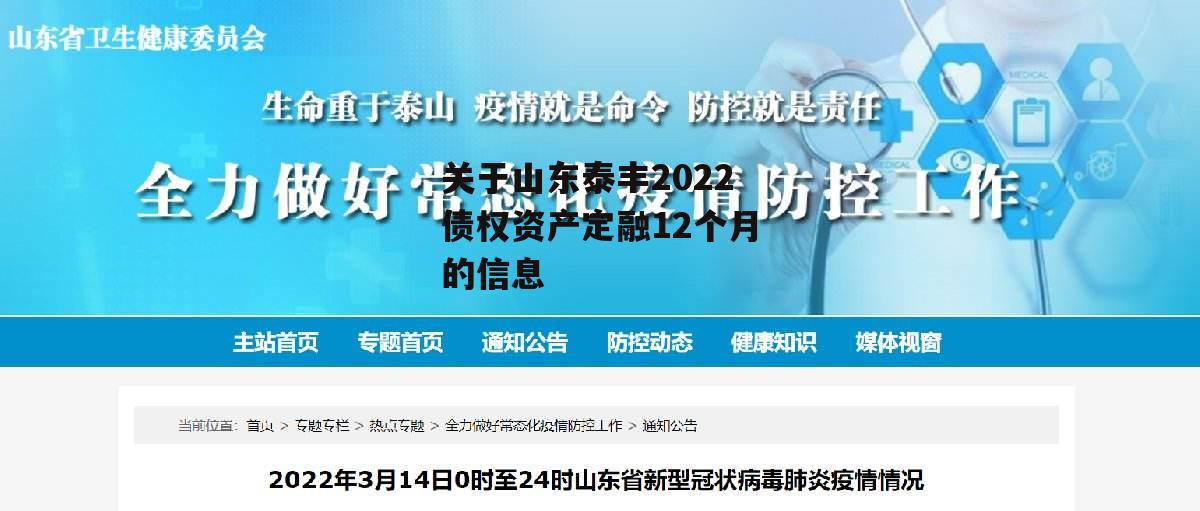 关于山东泰丰2022债权资产定融12个月的信息