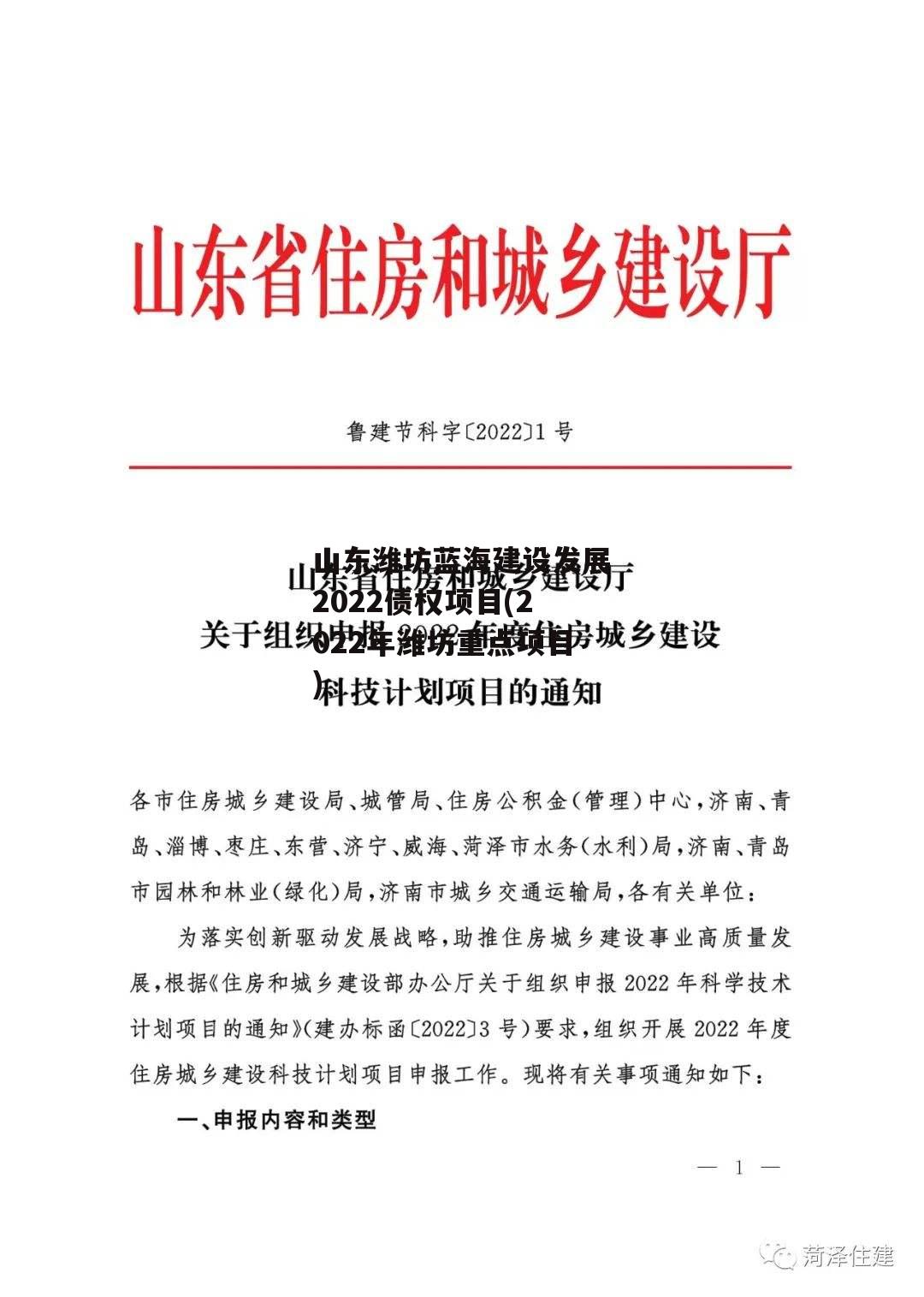 山东潍坊蓝海建设发展2022债权项目(2022年潍坊重点项目)