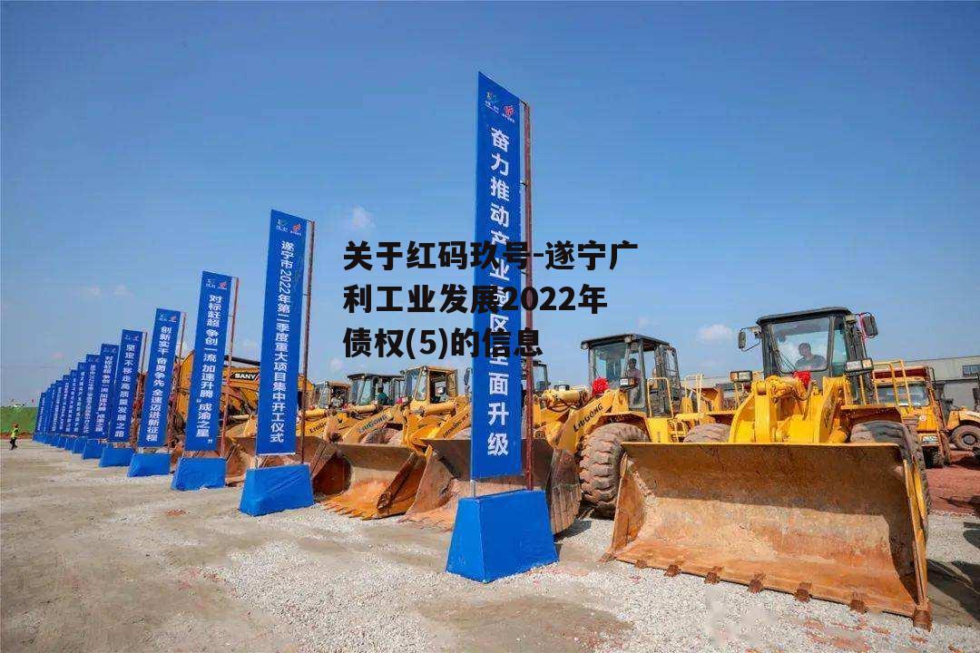 关于红码玖号-遂宁广利工业发展2022年债权(5)的信息