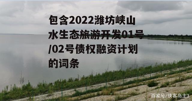 包含2022潍坊峡山水生态旅游开发01号/02号债权融资计划的词条