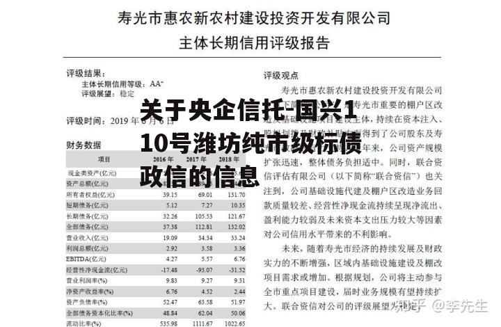 关于央企信托-国兴110号潍坊纯市级标债政信的信息