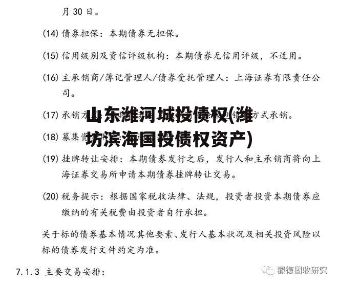 山东潍河城投债权(潍坊滨海国投债权资产)