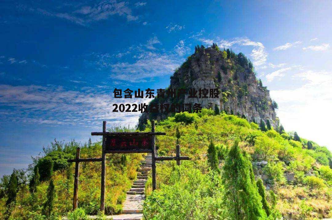 包含山东青州产业控股2022收益权的词条