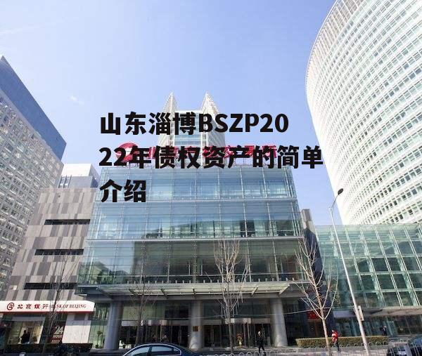 山东淄博BSZP2022年债权资产的简单介绍