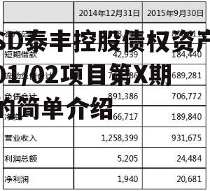 SD泰丰控股债权资产01/02项目第X期的简单介绍