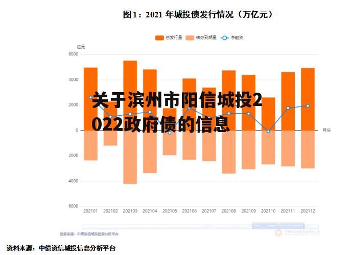 关于滨州市阳信城投2022政府债的信息