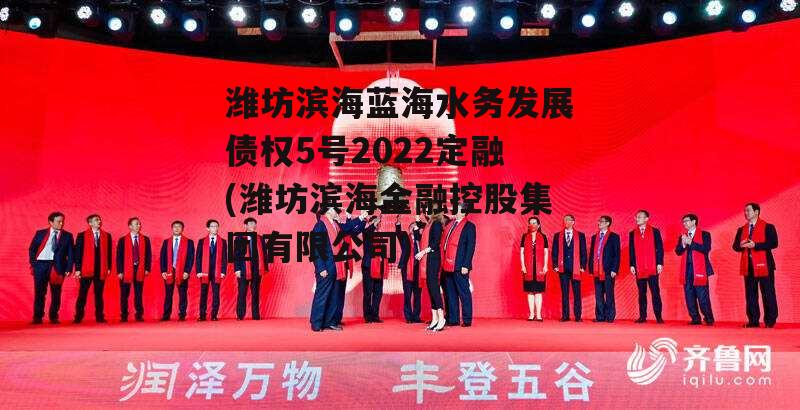 潍坊滨海蓝海水务发展债权5号2022定融(潍坊滨海金融控股集团有限公司)