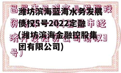 潍坊滨海蓝海水务发展债权5号2022定融(潍坊滨海金融控股集团有限公司)