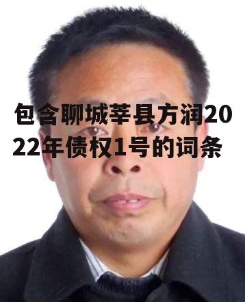 包含聊城莘县方润2022年债权1号的词条