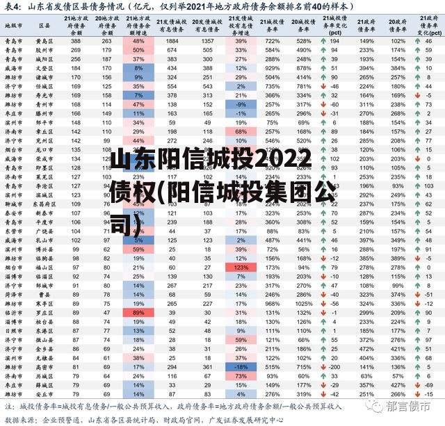 山东阳信城投2022债权(阳信城投集团公司)