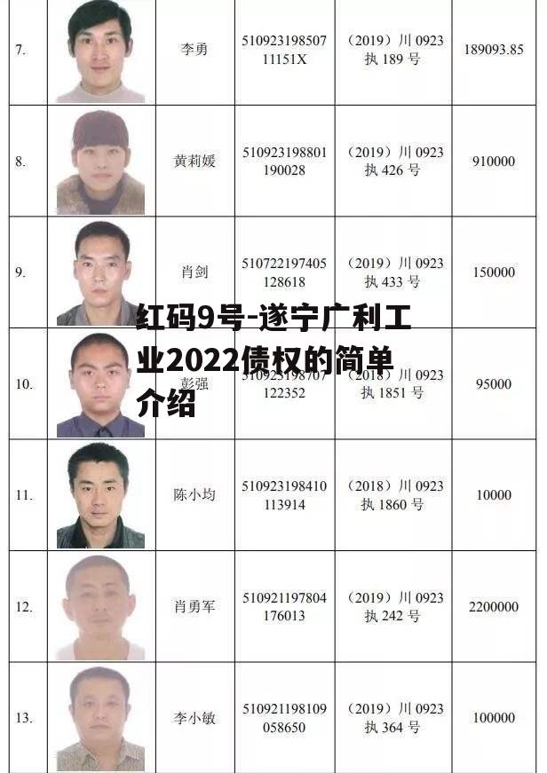 红码9号-遂宁广利工业2022债权的简单介绍