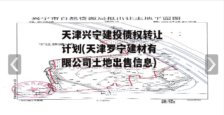 天津兴宁建投债权转让计划(天津罗宁建材有限公司土地出售信息)