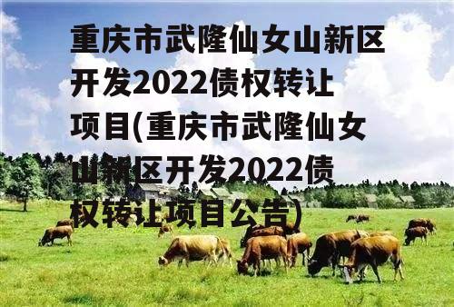 重庆市武隆仙女山新区开发2022债权转让项目(重庆市武隆仙女山新区开发2022债权转让项目公告)